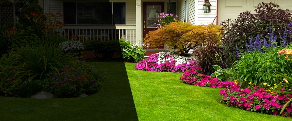 Houston Landscapers